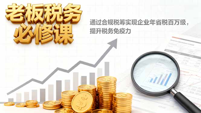 老板税务必修课,通过合规税筹实现企业年省税百万级,提升税务免疫力-佳文