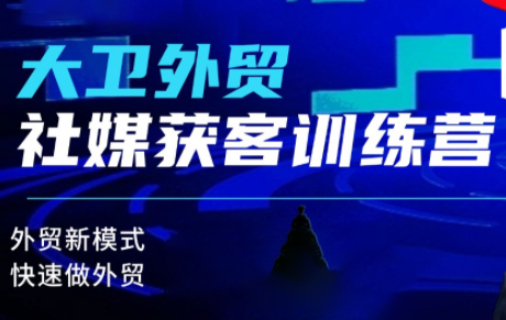 大卫老师·外贸社媒获客独家训练营(更新)-佳文