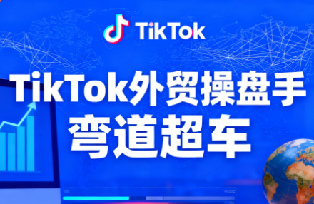 TikTok外贸操盘手(更新11月)-佳文